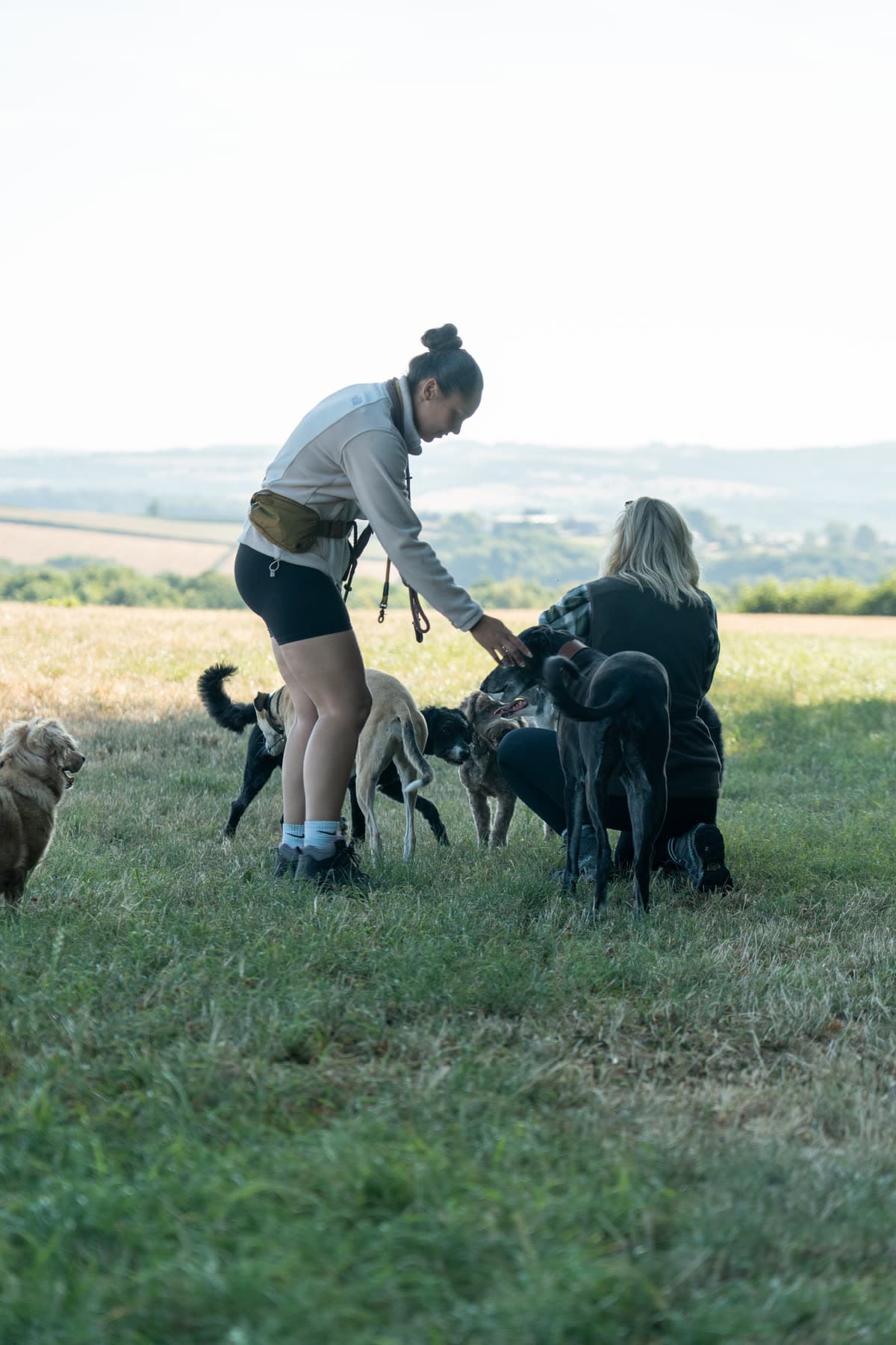 Two walkers crouching among several dogs in an open field